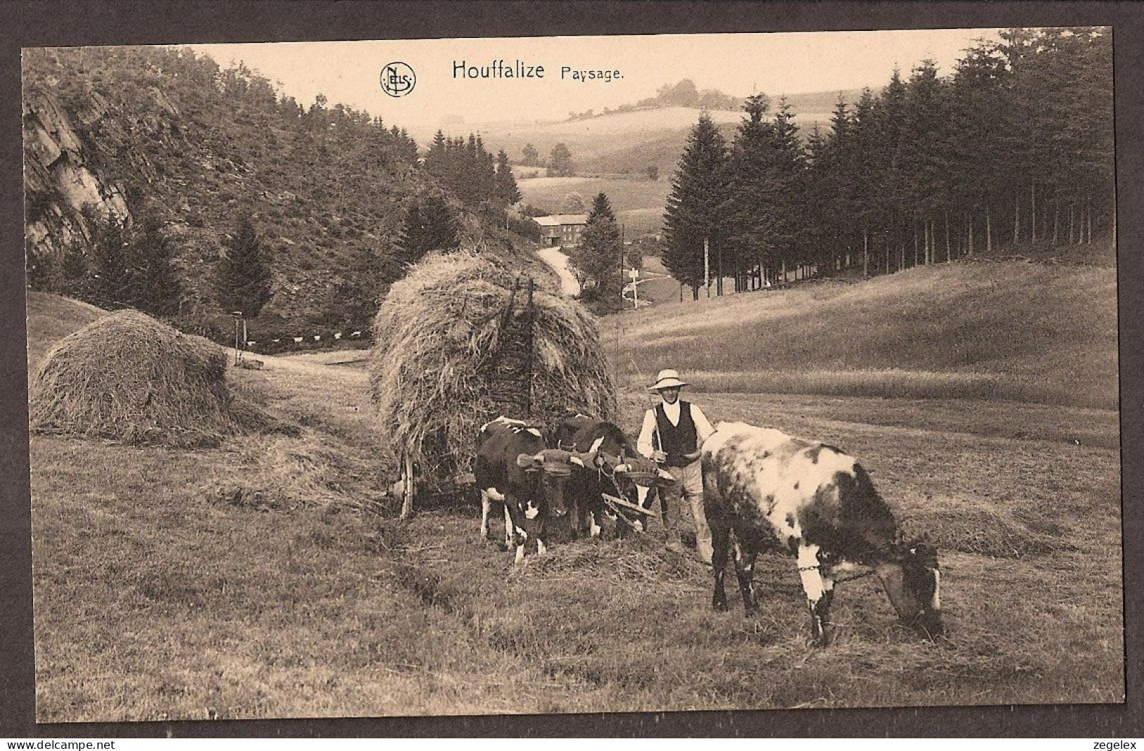 Houffalize - Paysage  - Ossenwagen - Oxcart - Houffalize