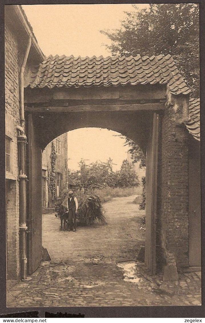 Leuven - Abbaye Du Mont-César - Abdij Van Keizersberg - Un Prêtre Avec Un Ane.  XVI Siècle  - Leuven