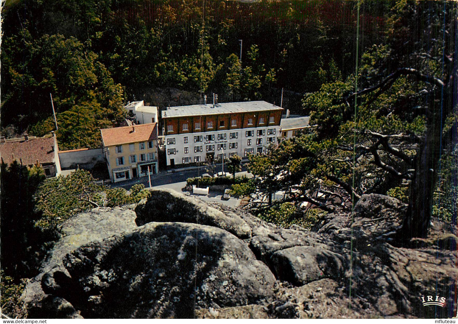 63* ST NECTAIRE Hotel De L Hermitage  (CPSM 10x15cm)     RL18,0461 - Saint Nectaire