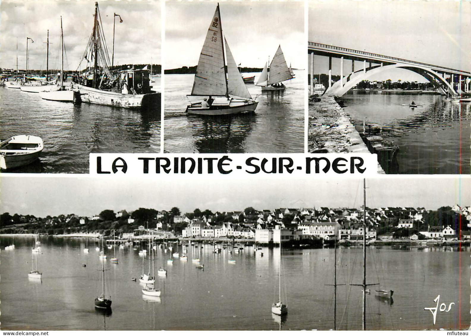 56* LA TRINITE S/MER  Multi Vues  - Port  (CPSM 10x15cm)     RL18,0057 - La Trinite Sur Mer