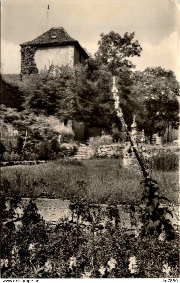 Arnstadt/Thüri. - An Der Stadtmauer - Arnstadt