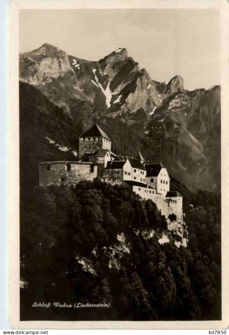 Schloss Vaduz - Liechtenstein - Liechtenstein