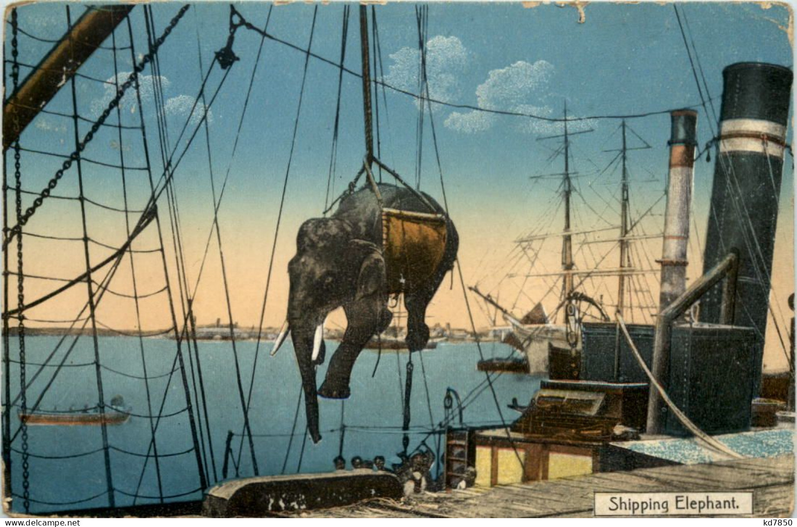 Myanmar - Shipping Elephant - Autres & Non Classés