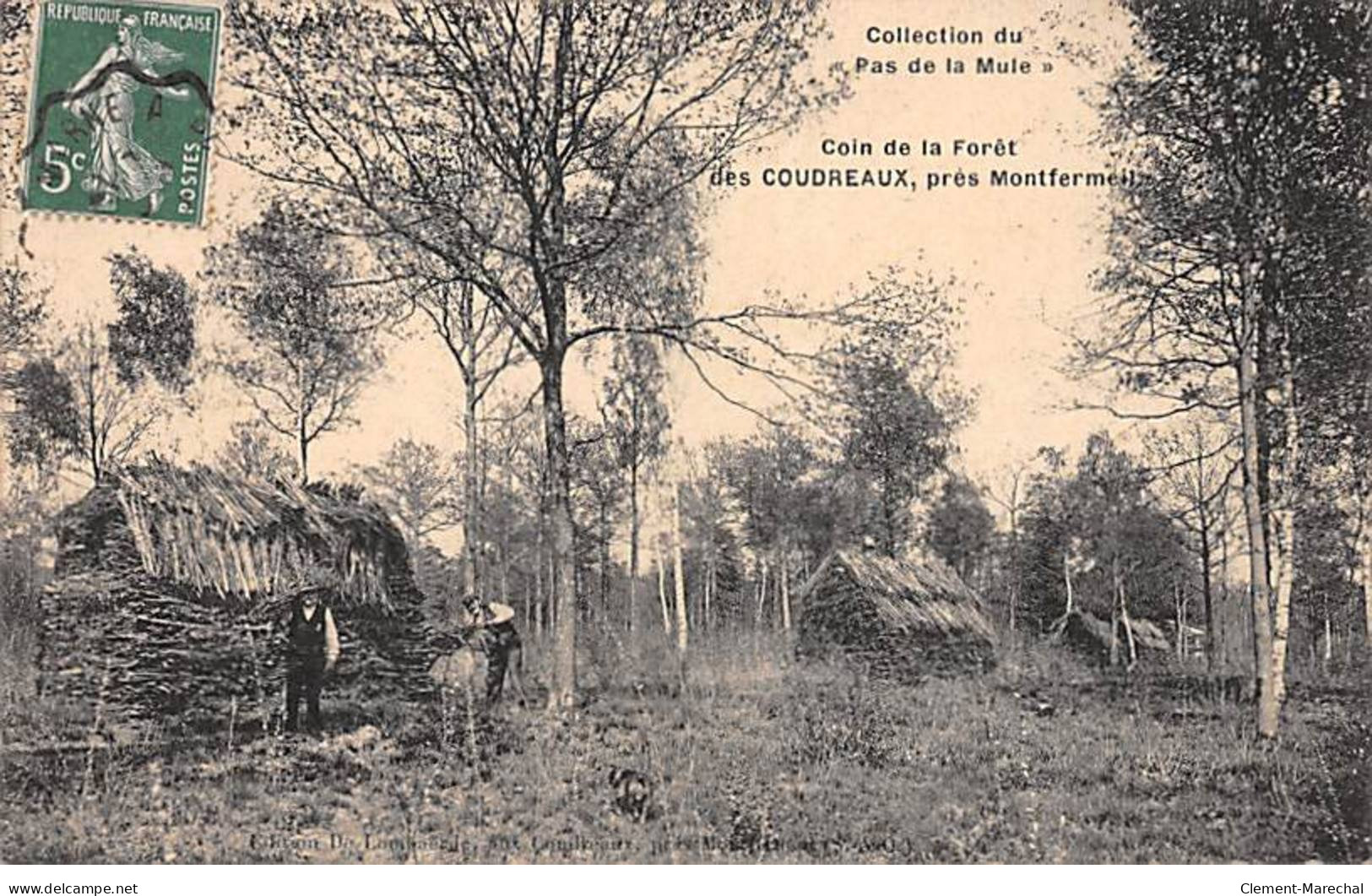 Coin De La Forêt Des COUDREAUX Près Montfermeil - état - Montfermeil