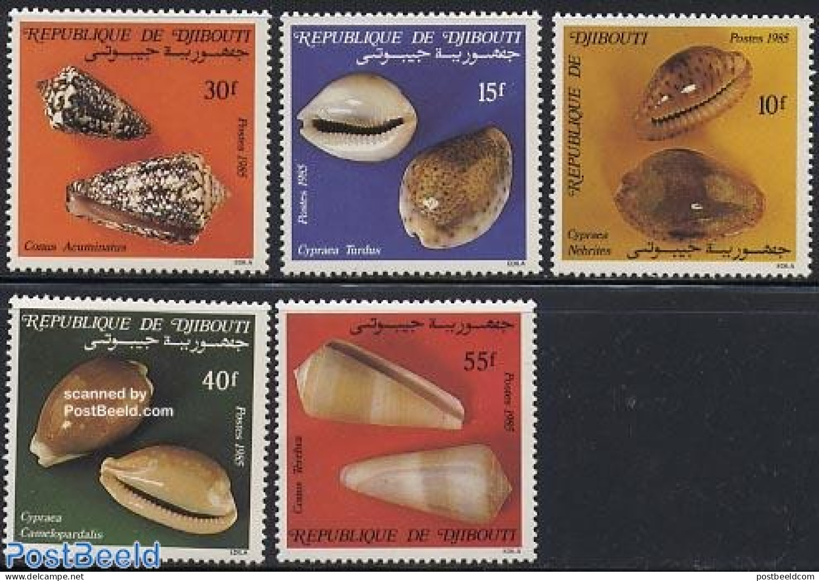 Djibouti 1985 Shells 5v, Mint NH, Nature - Shells & Crustaceans - Meereswelt