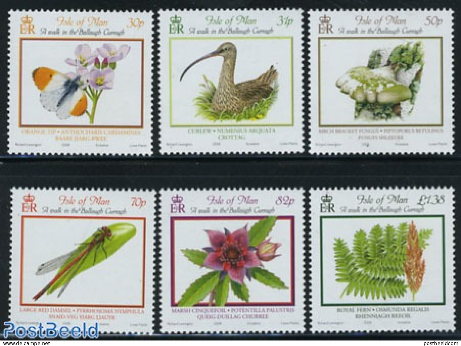 Isle Of Man 2008 Flora & Fauna 6v, Mint NH, Nature - Animals (others & Mixed) - Birds - Butterflies - Flowers & Plants.. - Champignons