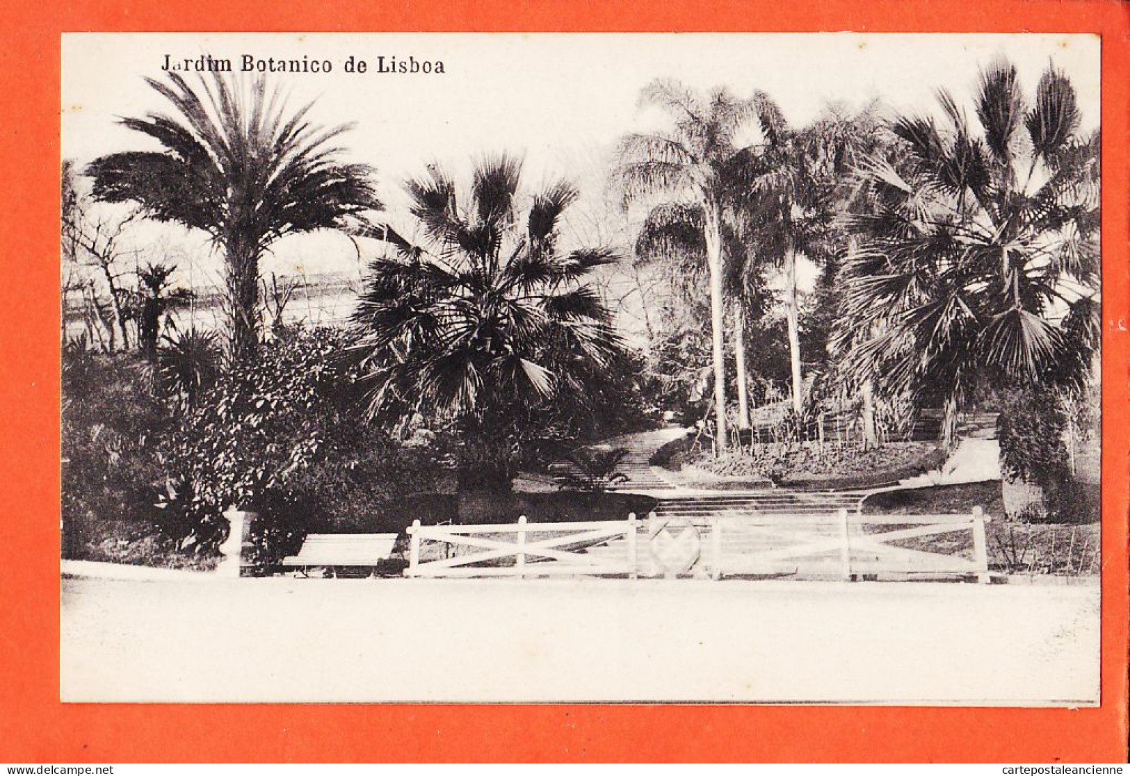 32960 / ⭐ LISBOA Lisbonne (•◡•) Jardim Botanico ◉ Jardin Botanique 1910s ◉ Ediçao COSTA 295 Rua Do OURO 1068 - Lisboa