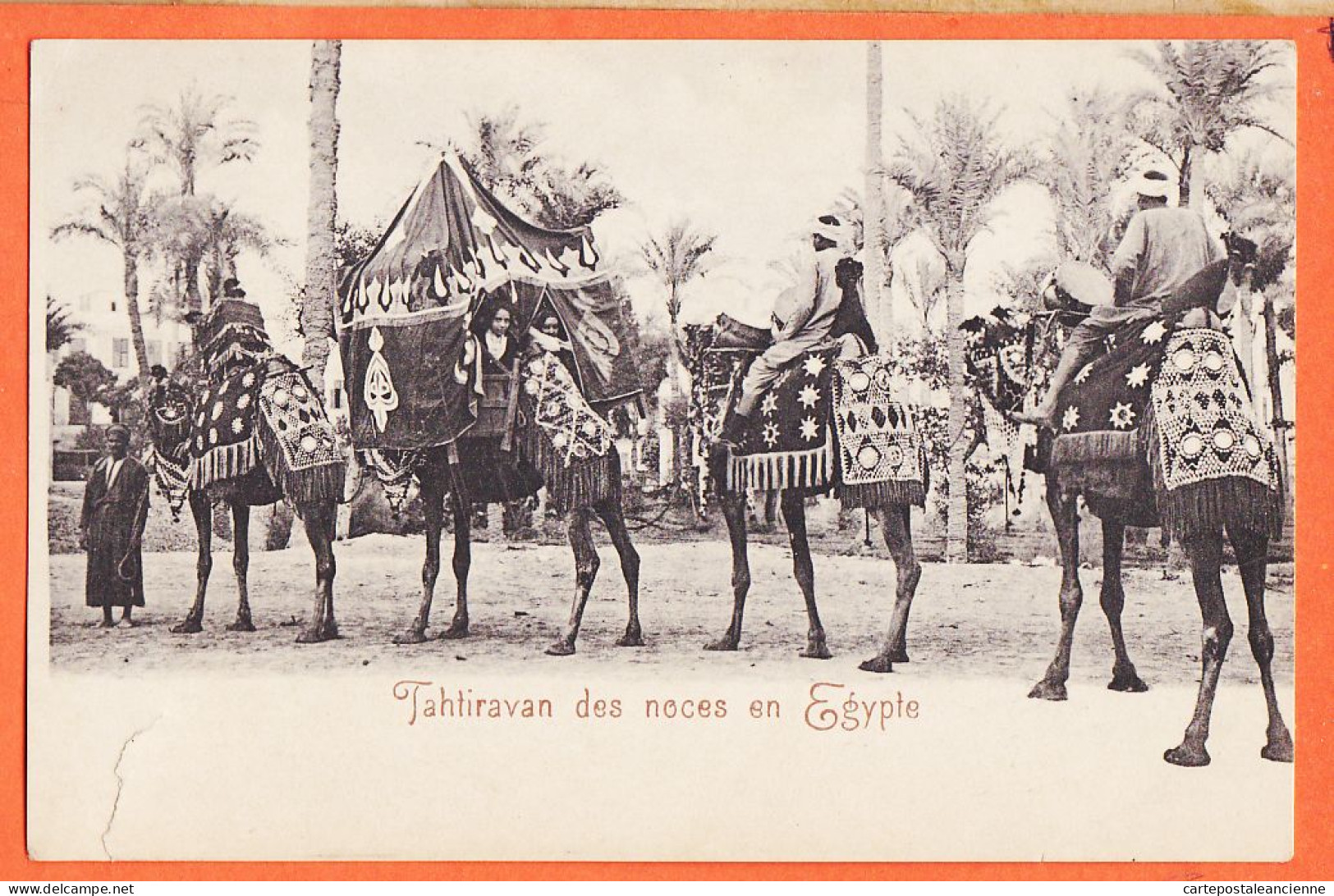32697 / ⭐ (•◡•) Ethnic ♥️ Tahtiravan Des Noces En EGYPTE Chameaux Portant Cymbaliers Noces Arabes 1900s - Persons