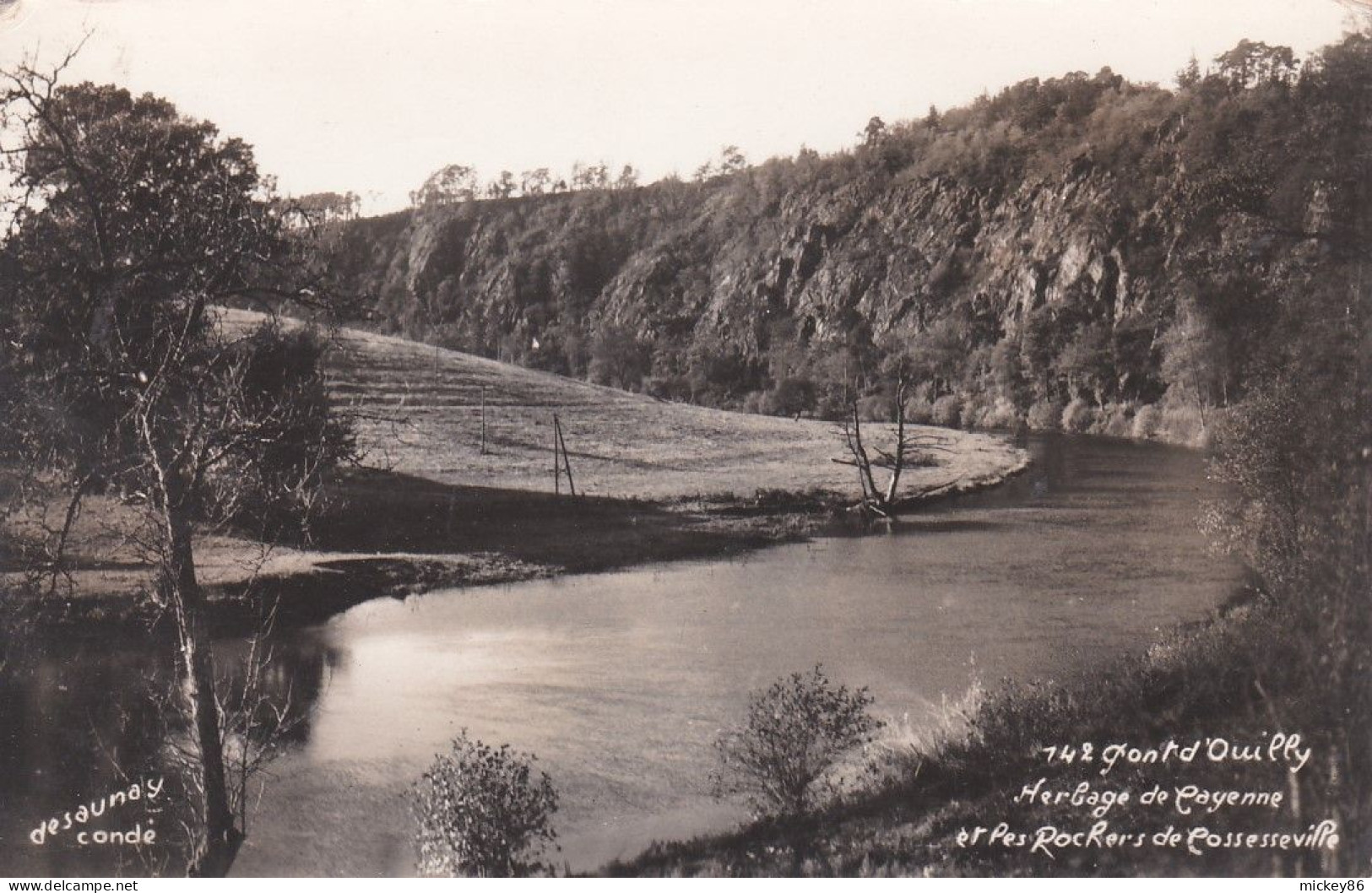 PONT D'OUILLY--1954--Herbage De Cayenne Et Les Rochers De Cosseville..beau Cachet COURVILLE SUR EURE-28 - Pont D'Ouilly