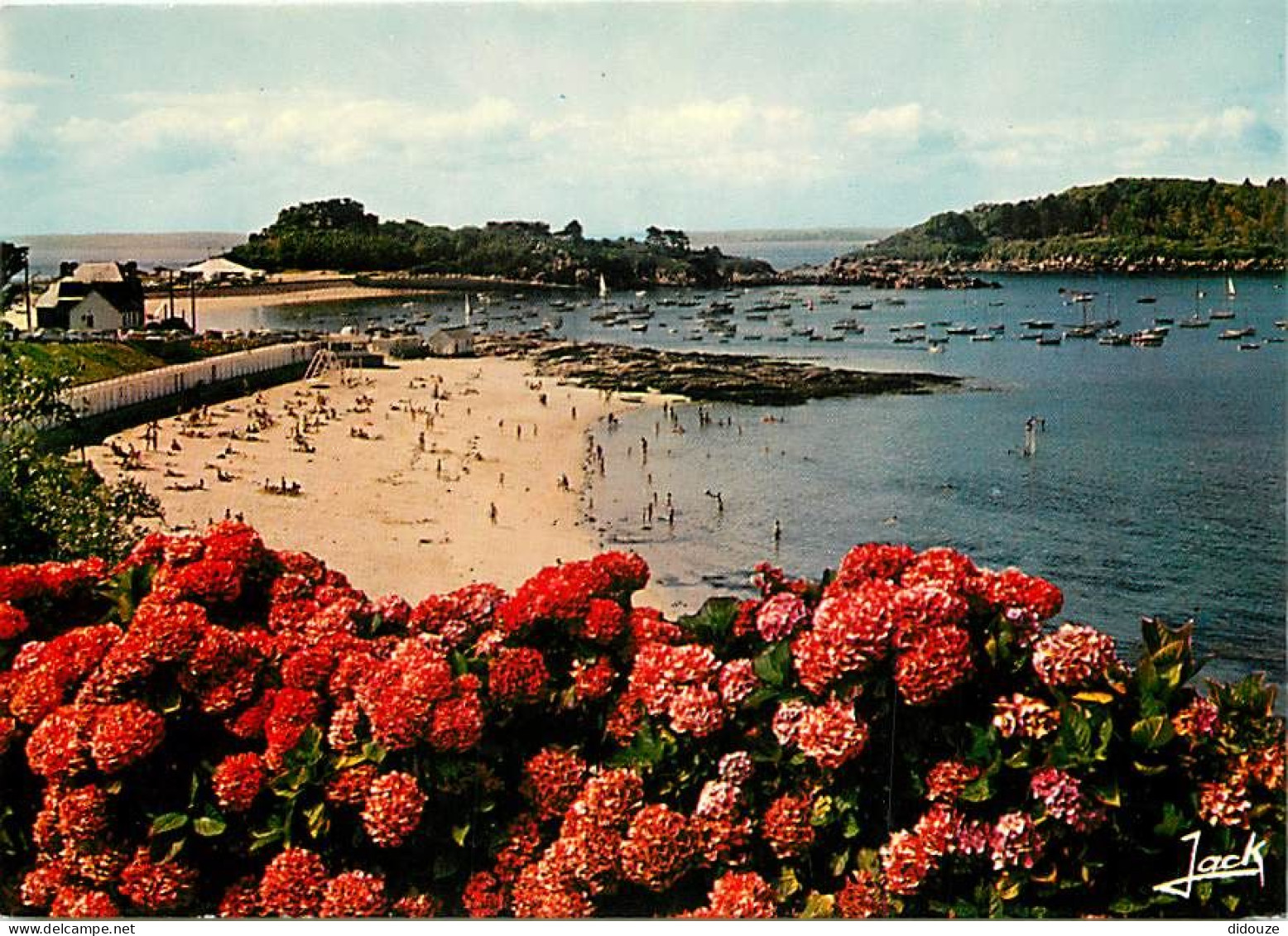 22 - Trébeurden - La Plage De Pors-Termen - Fleurs - Scènes De Plage - CPM - Voir Scans Recto-Verso - Trébeurden