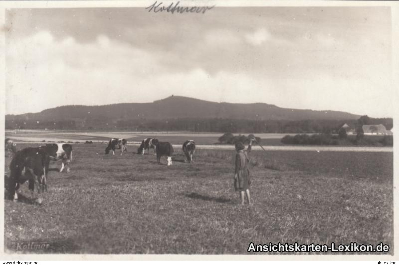 Ansichtskarte Löbau Mädchen Auf Der Weide, Mit Kottmarberg 1929  - Löbau