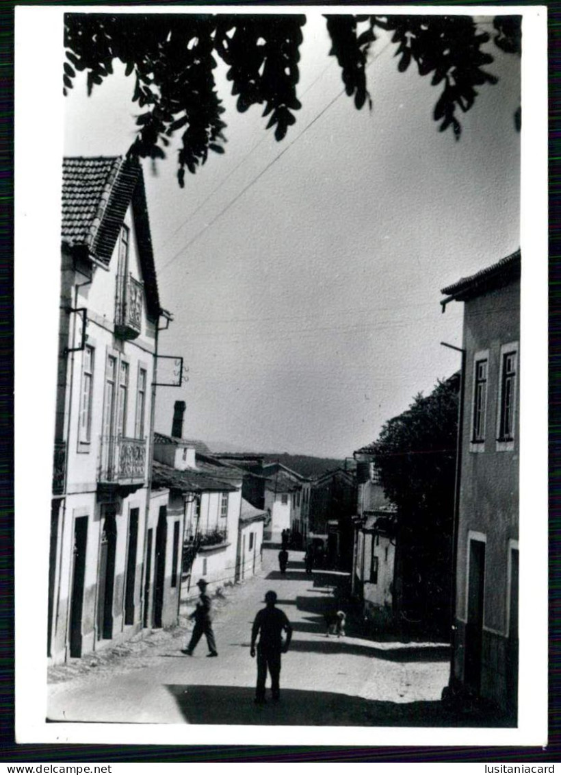 OLIVEIRA DO HOSPITAL- SEIXO DA BEIRA- Uma Rua.  ( Ed. Mimosa) Carte Postale - Coimbra