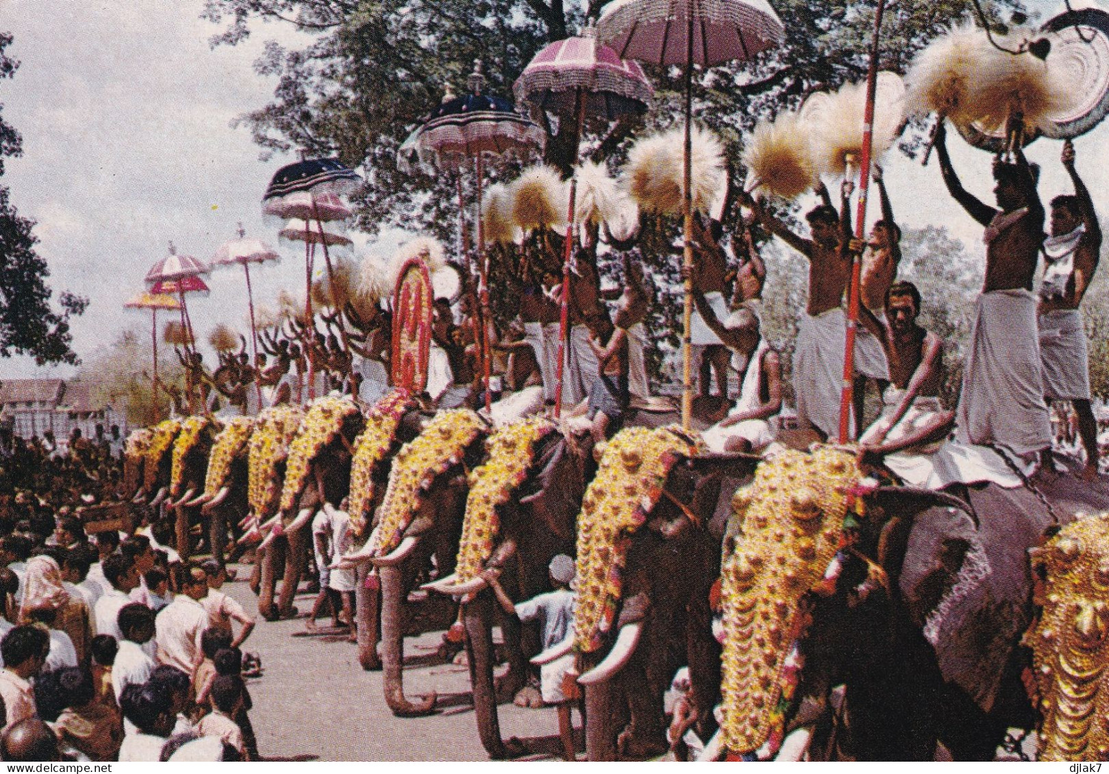 Inde Festival Pooram Trichur Avec Éléphants - Olifanten