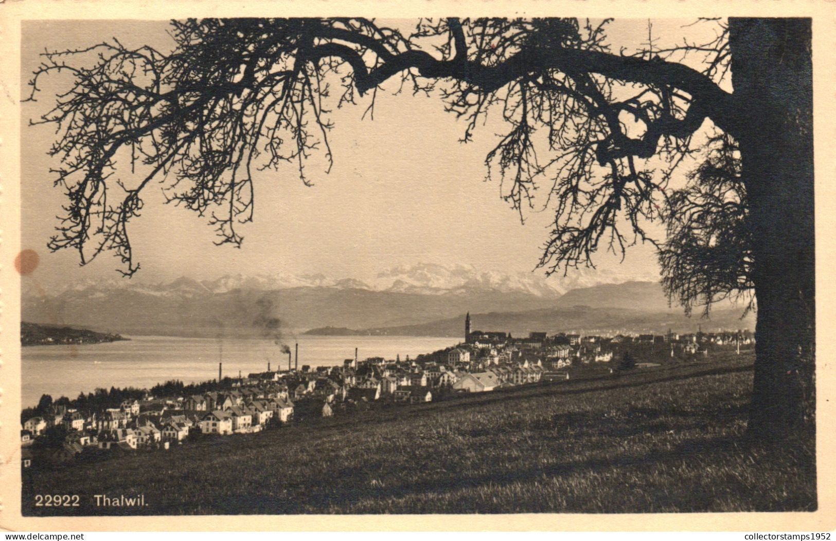 THALWIL, ZURICH, ARCHITECTURE, PANORAMA, MOUNTAIN, SWITZERLAND, POSTCARD - Thalwil