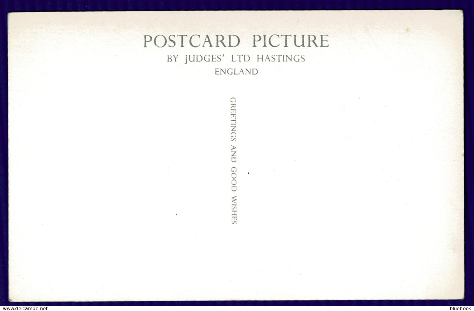 Ref 1649 - Judges Real Photo Postacrd - The Promenade Brecon - Wales - Breconshire