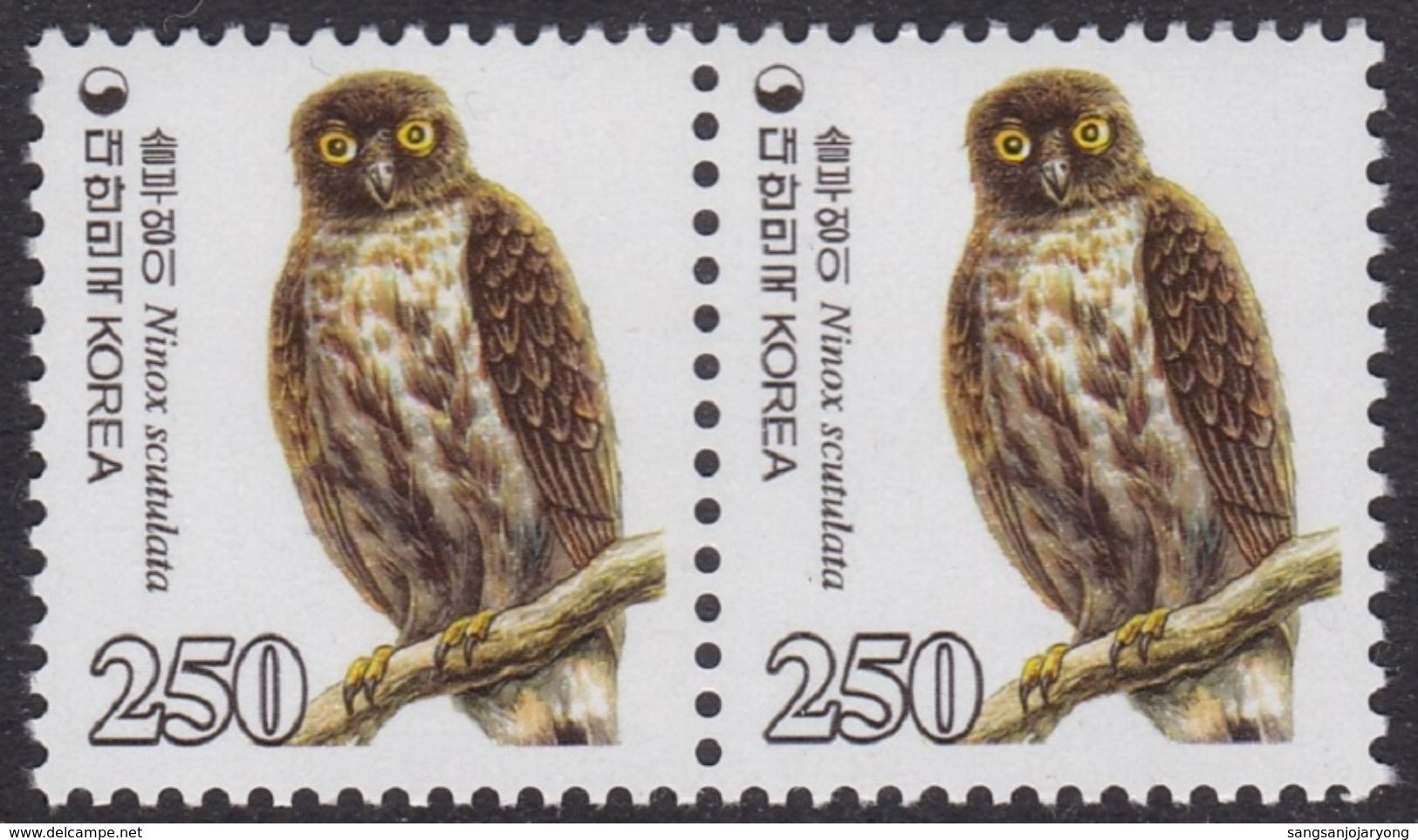 South Korea KPC449 Bird, Brown Hawk Owl, Ninox Scutulata, Natural Monument, Oiseau, Hibou, Chouette, Pair - Hiboux & Chouettes