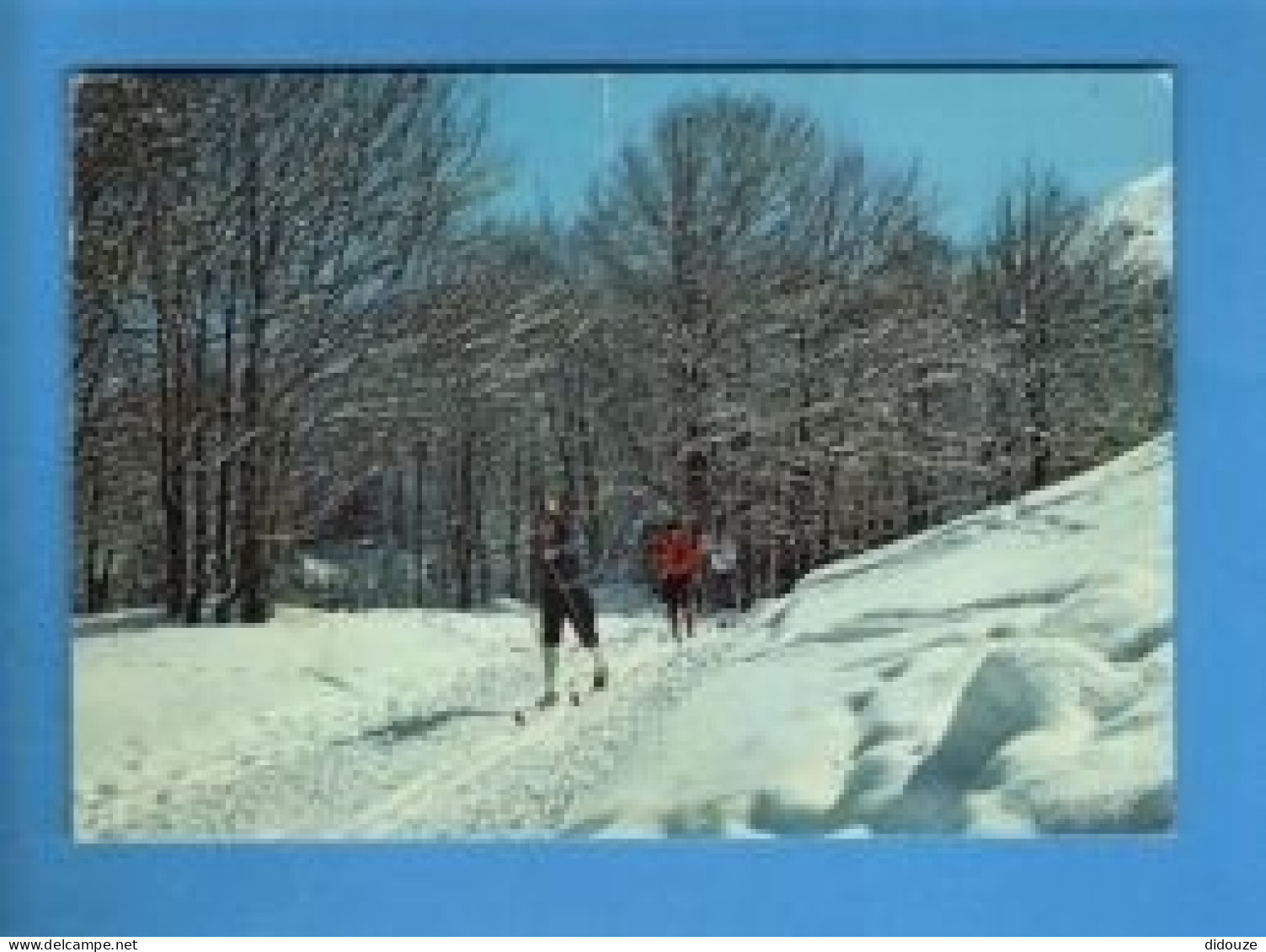 Sports - Sports D'Hiver - Ski - Sur La Piste De Fond - Carte Vierge - Winter Sports