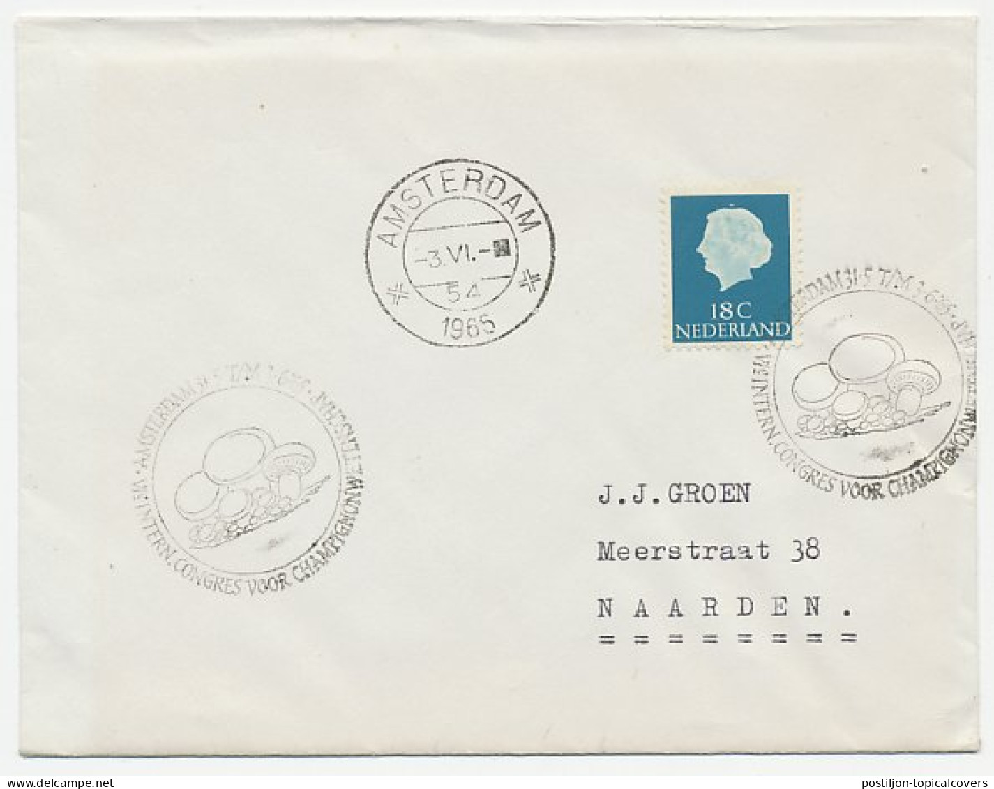 Cover / Postmark Netherlands 1965 Mushroom Congress - Mushrooms