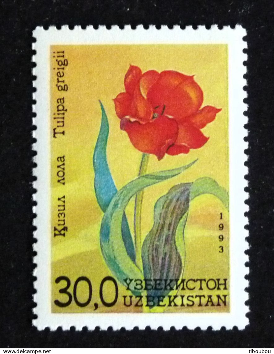 OUZBEKISTAN UZBEKISTAN YT 34 ** MNH - FLORE FLEUR FLOWER BLUME - Ouzbékistan