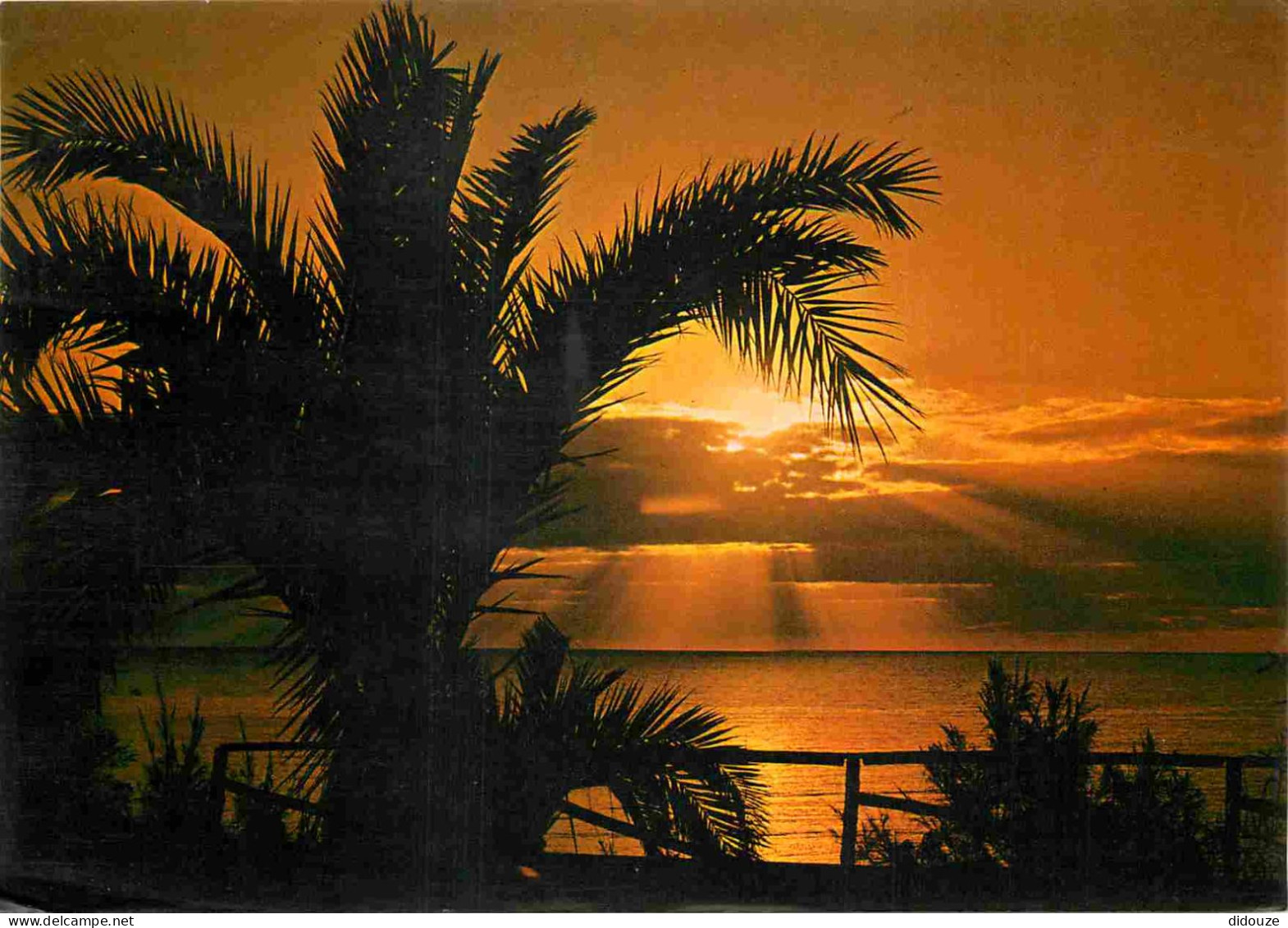 Espagne - Espana - Islas Canarias - Gran Canaria - Playa Del Inglés - Amanecer - Coucher De Soleil - CPM - Voir Scans Re - Gran Canaria