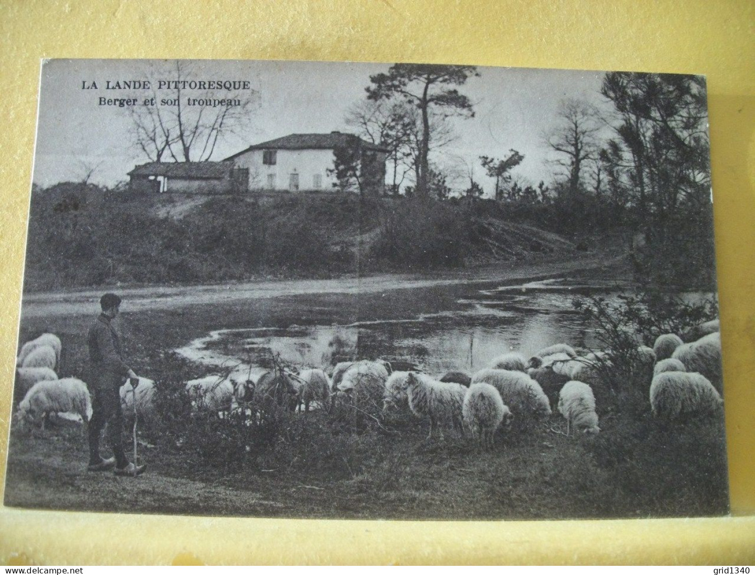 40 4492 LOT N° 4  DE 15 CPA DIFFERENTES SUR  LES BERGERS ET MOUTONS DANS LES LANDES