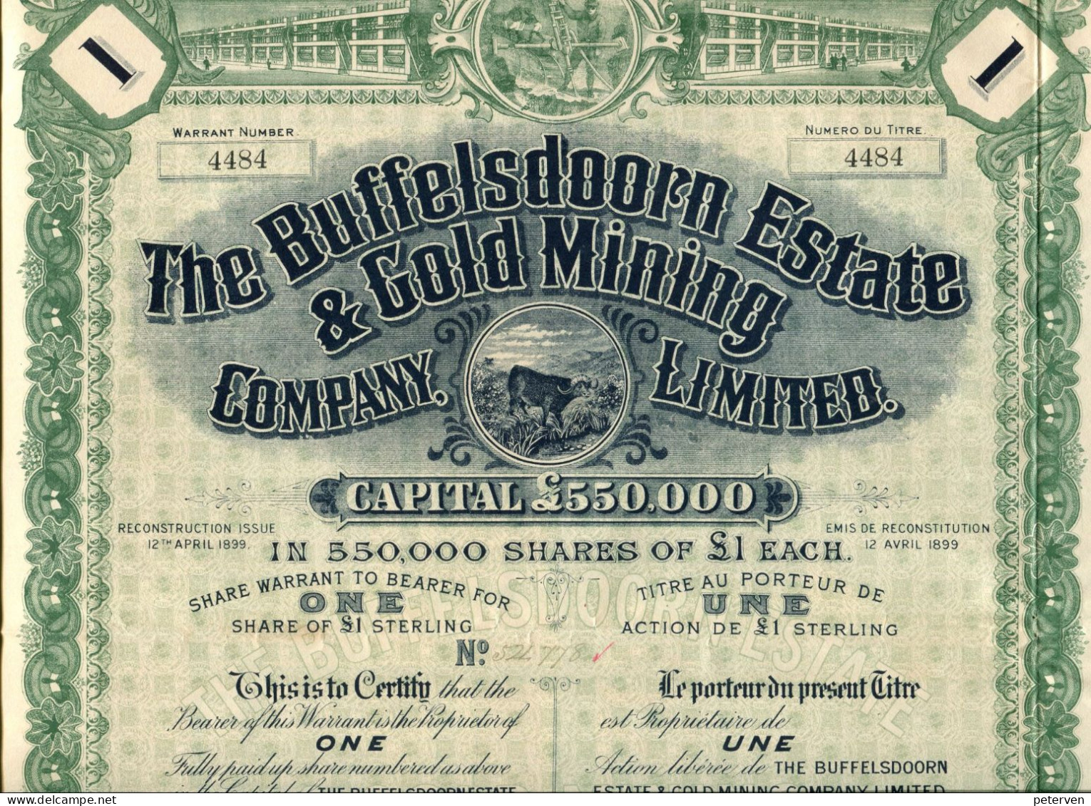 The BUFFELSDOORN ESTATE & GOLD MINING COMPANY, Limited - Bergbau