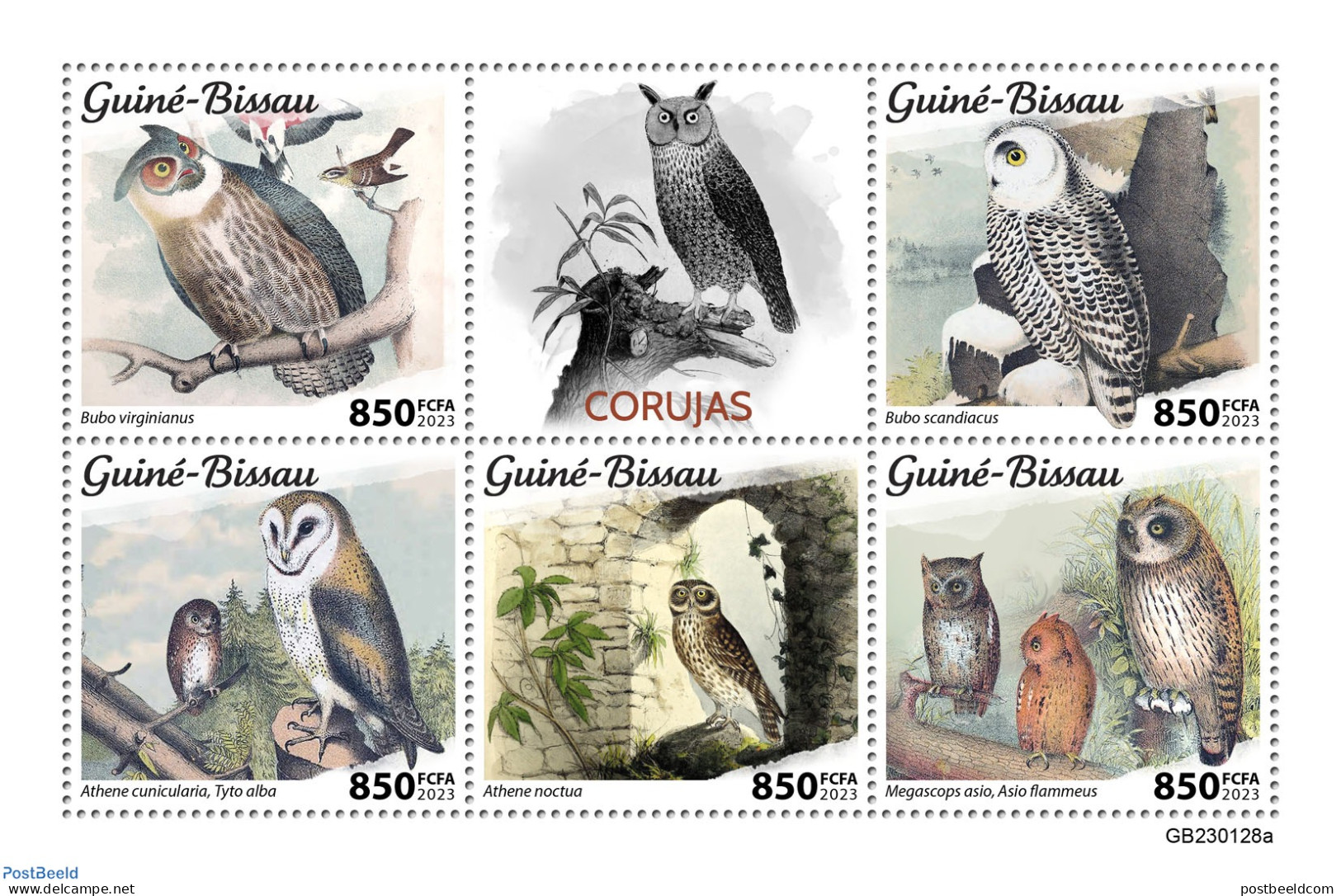 Guinea Bissau 2023 Owls, Mint NH, Nature - Birds - Birds Of Prey - Owls - Guinea-Bissau