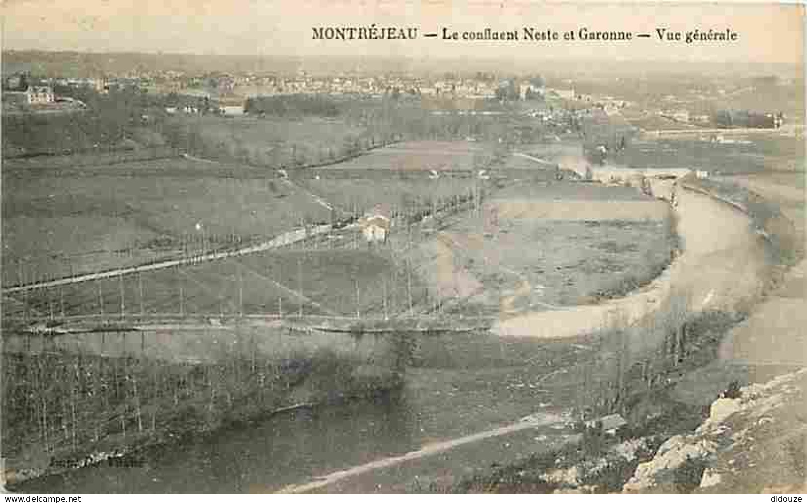 31 - Montréjeau - Le Confluent Neste Et Garonne - Vue Générale - CPA - Voir Scans Recto-Verso - Montréjeau