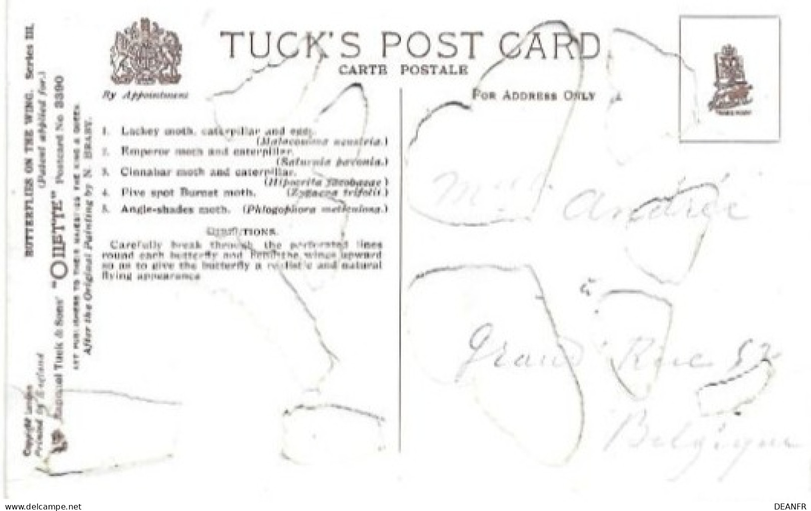 Papillons Et Chenilles Sur Tuck's Post Card (prédécoupés Détachable) Illustrateur N. BRABY . Carte Très Bon état. - Papillons