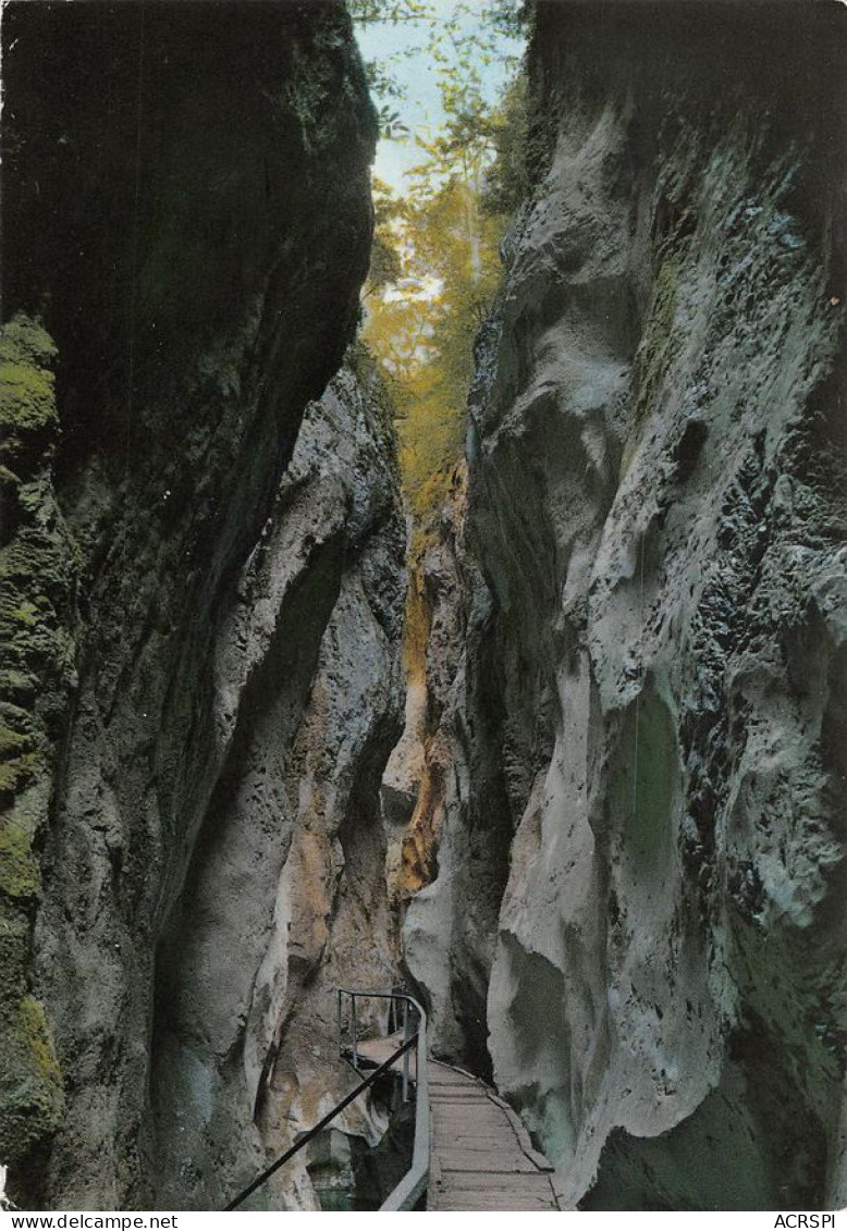 66  ARLES-SUR-TECH  Vue Du Défilé (Scan R/V) N°   51   \MT9130 - Ceret