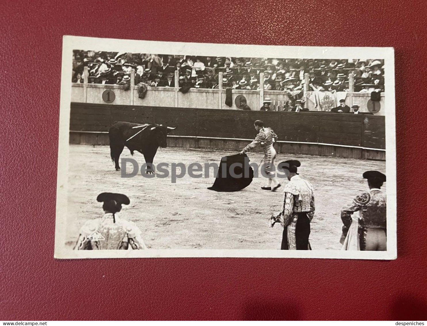 Course De Taureaux - Commencement Du Travail De Mulata - Corrida