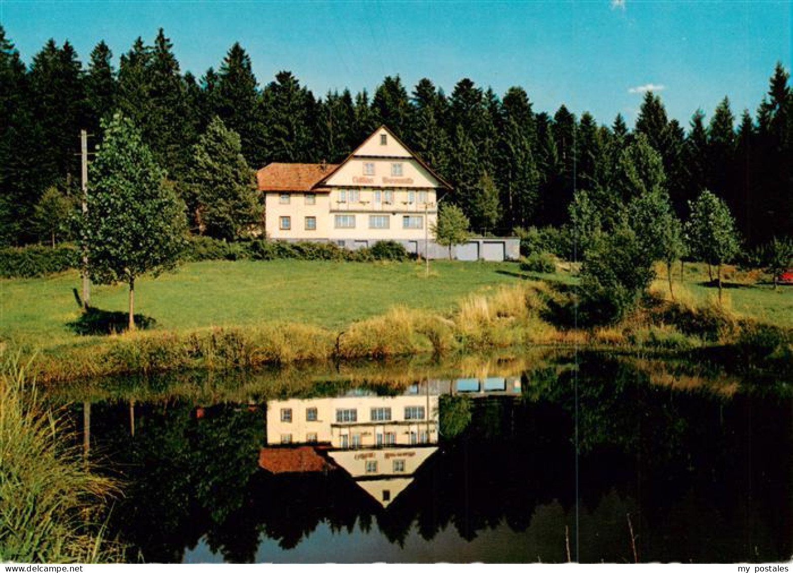 73944422 Kirnbach_Wolfach Hoehengasthaus Pension Moosenmaettle Teich - Wolfach