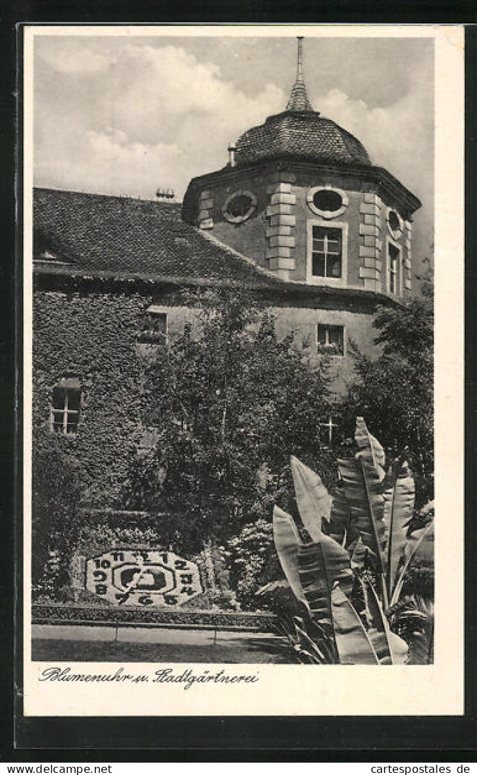 AK Zittau, Blumenuhr Und Stadtgärtnerei  - Zittau