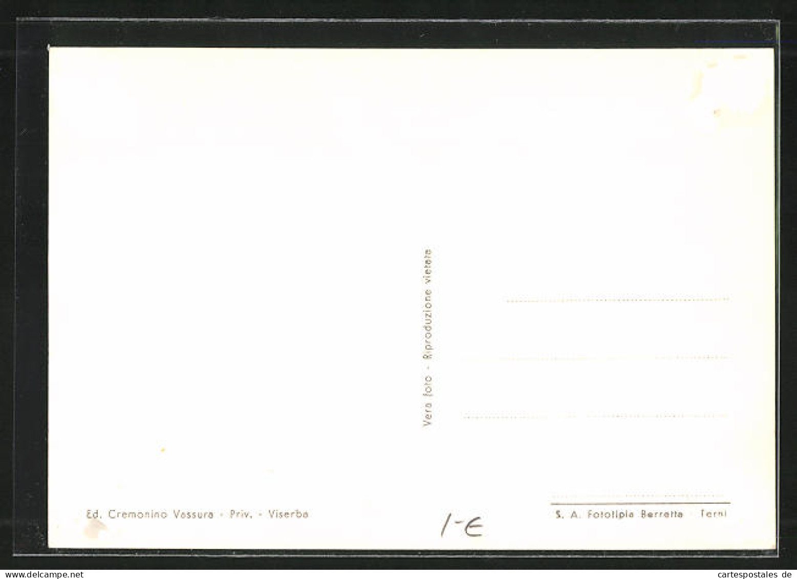 Cartolina Viserba, Viale Colombo  - Sonstige & Ohne Zuordnung