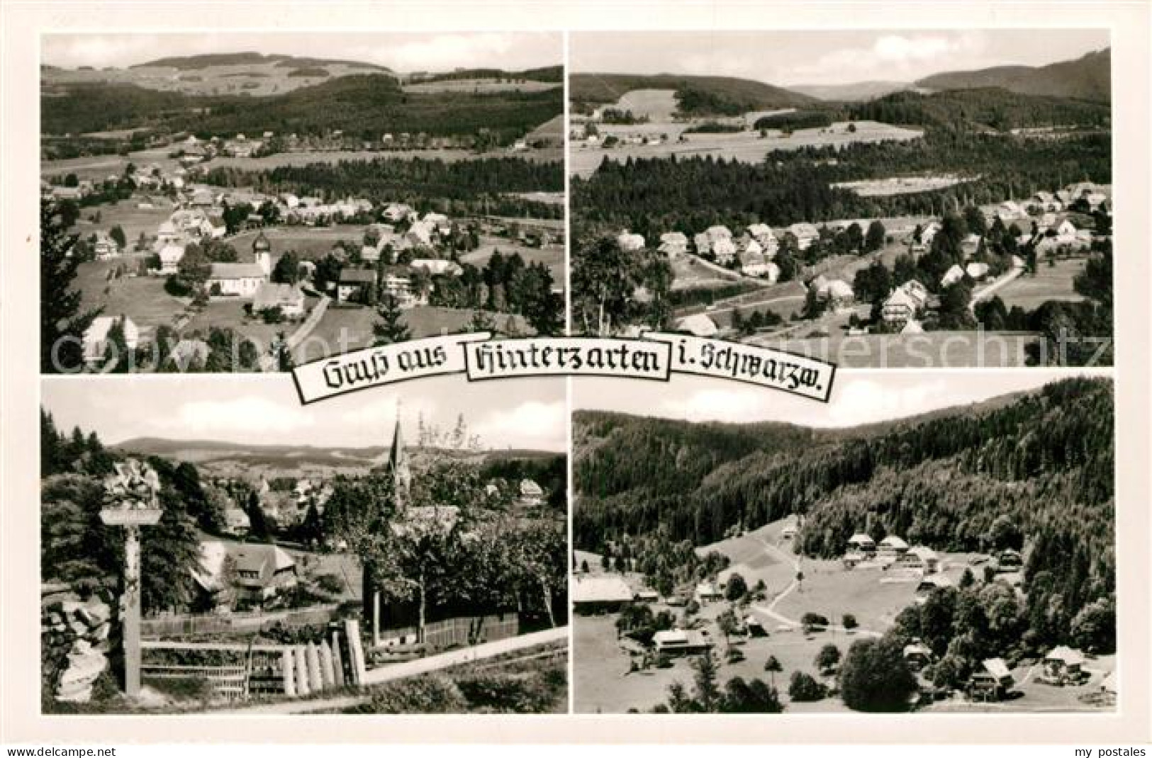 73142653 Hinterzarten  Hinterzarten - Hinterzarten