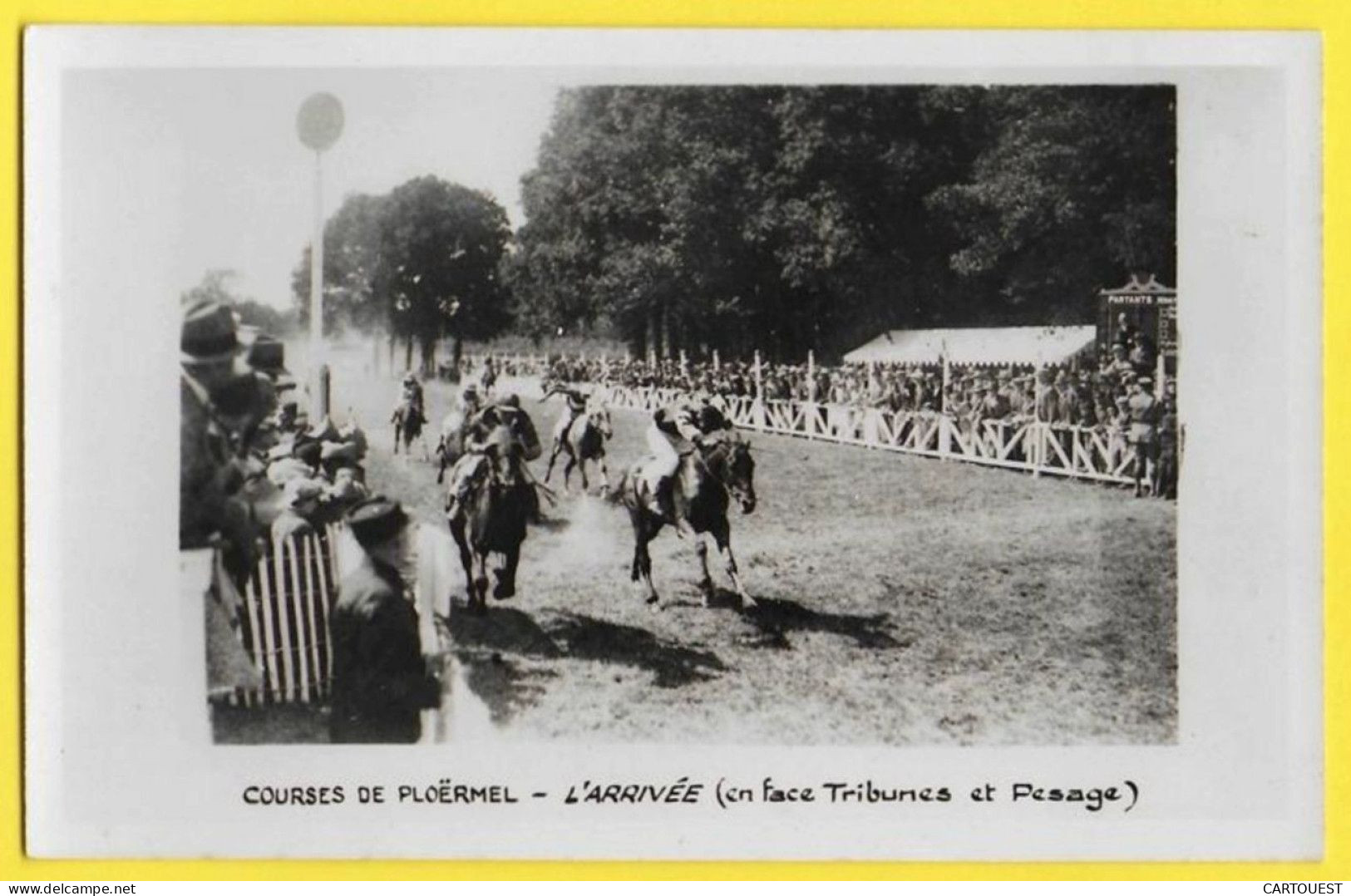 CPA PLOËRMEL Courses De Chevaux L'arrivée En Face Des Tribunes - Hippique - Course - Ploërmel