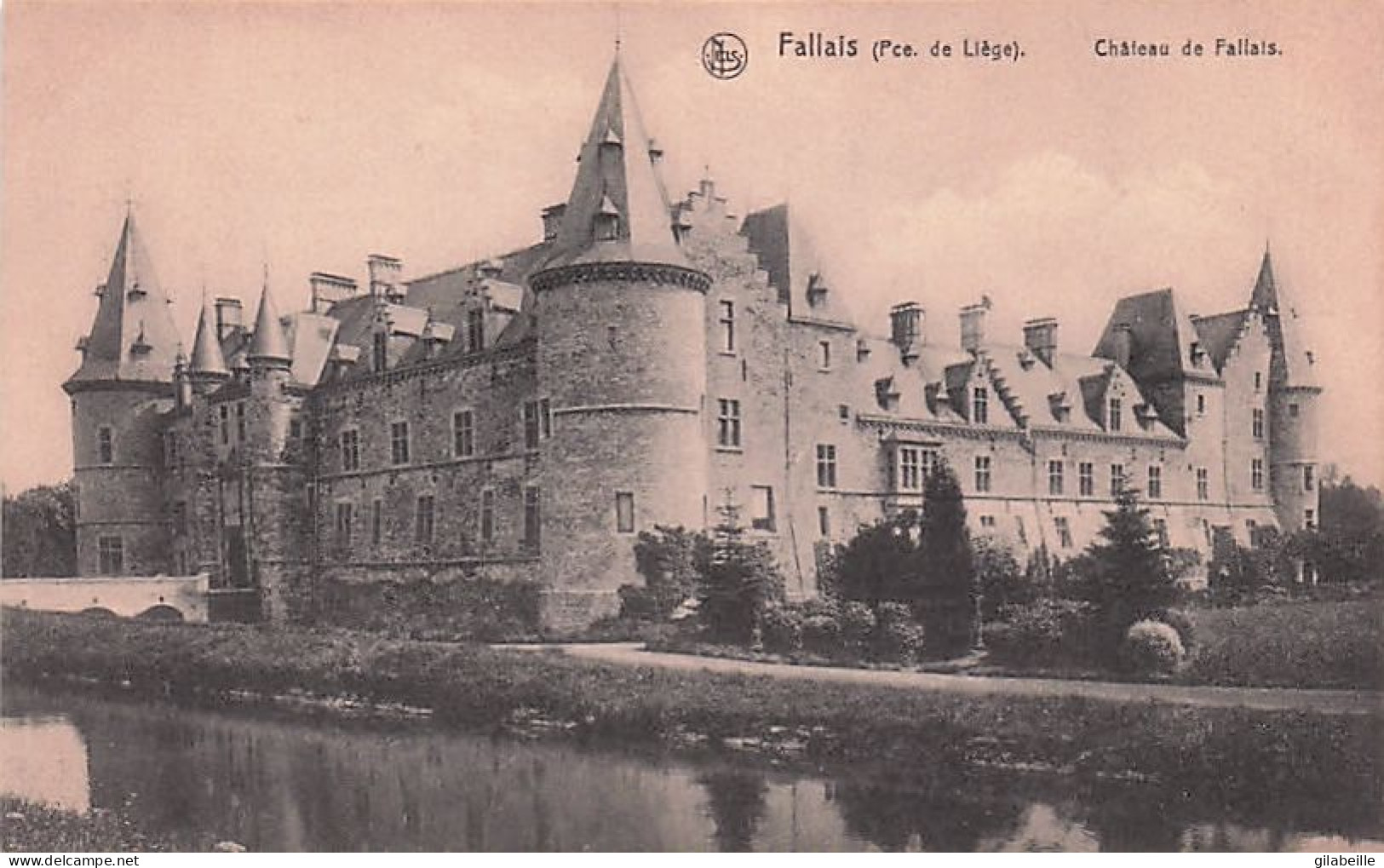 Braives - FALLAIS - Chateau De Fallais - Braives