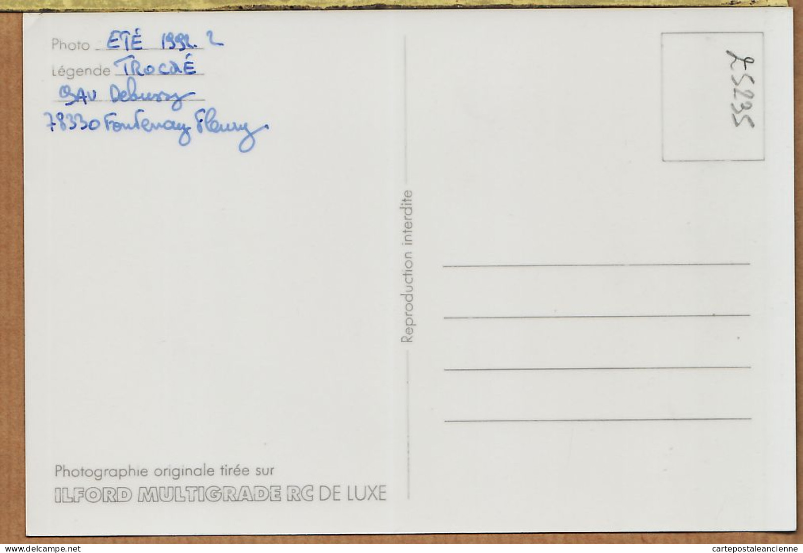 05719 / Carte Photo Photographie Artistique TROCME 9 Avenue Debussy 78330 FONTENAY-FLEURY Eté 1992-2 - Sonstige & Ohne Zuordnung