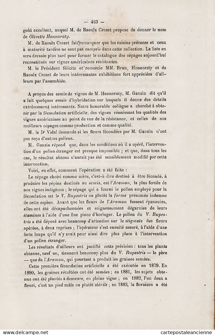 05723 / ⭐ ◉  Rare Tableau VIGNOBLE PHYLLOXERA Bulletin AGRICULTURE HORTICULTURE VAR 1883 Test Vignes Afrique Cochinchine - 1801-1900