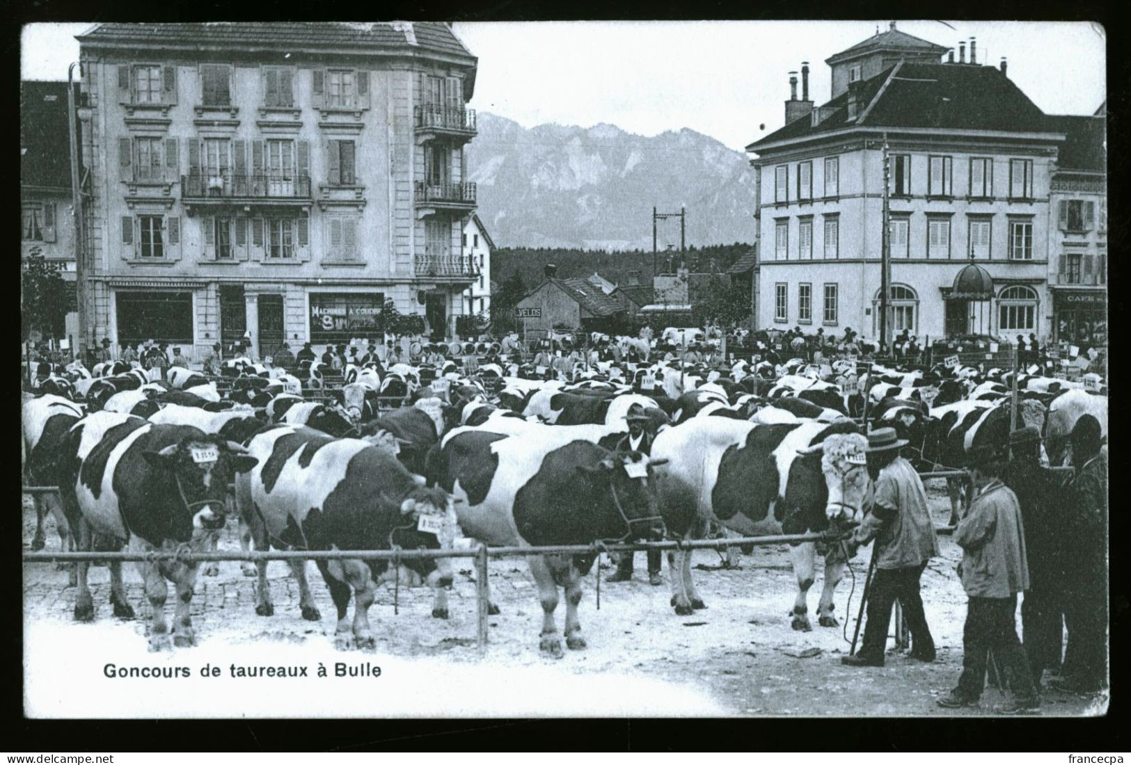 15034 - SUISSE -  BULLE - Concours De Taureaux - Bulle