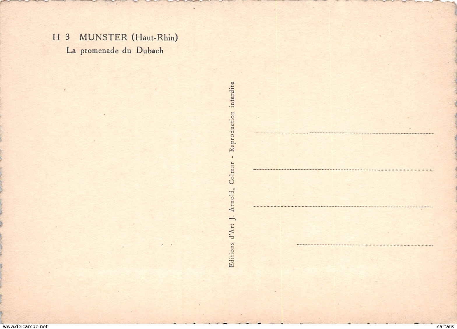 68-MUNSTER-N°3794-D/0293 - Munster