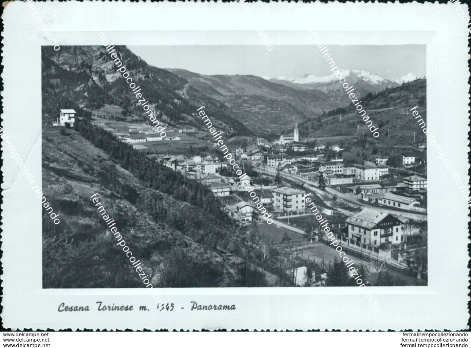 Bf110 Cartolina Cesana Torinese Panorama Provincia Di Torino - Other & Unclassified