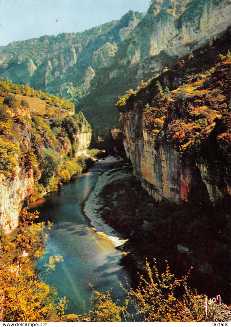 48-GORGES DU TARN-N°3803-C/0389 - Gorges Du Tarn