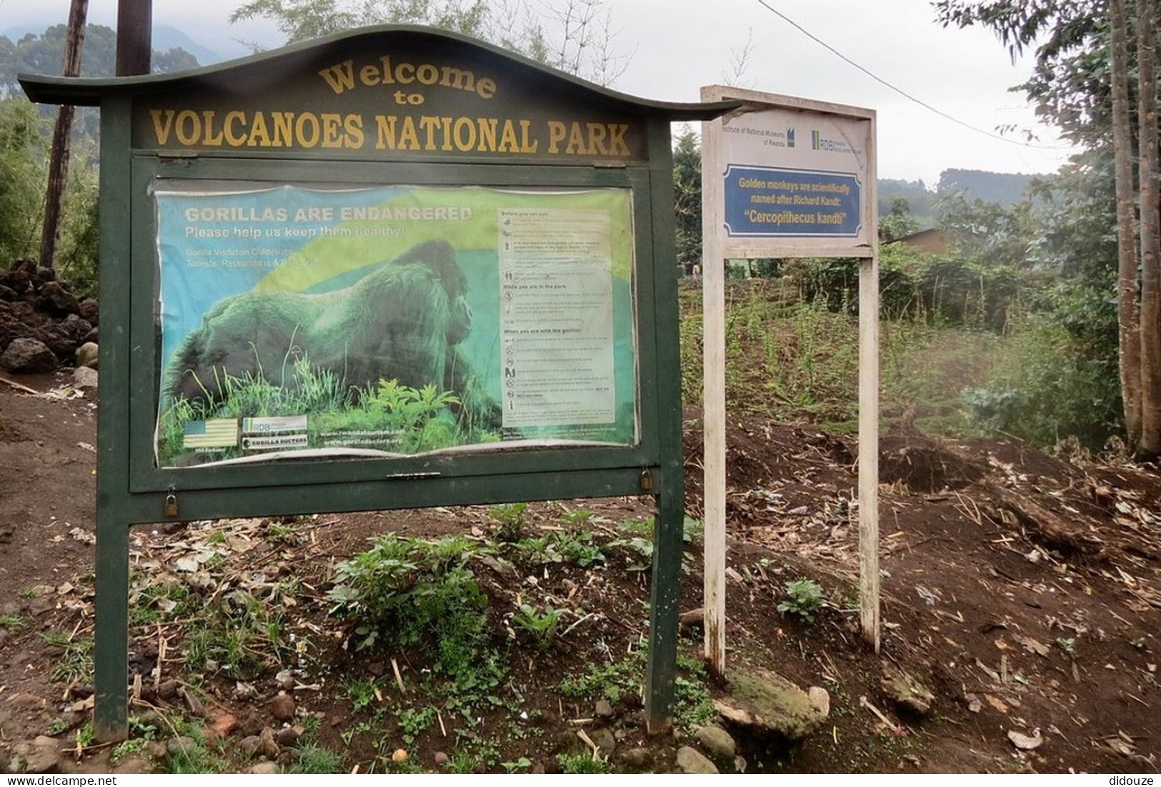 Rwanda - Volcanoes National Park - entrée du parc - Panneau d'affichage - Parc des Volcans - Zoo - CPM - Carte neuve - V