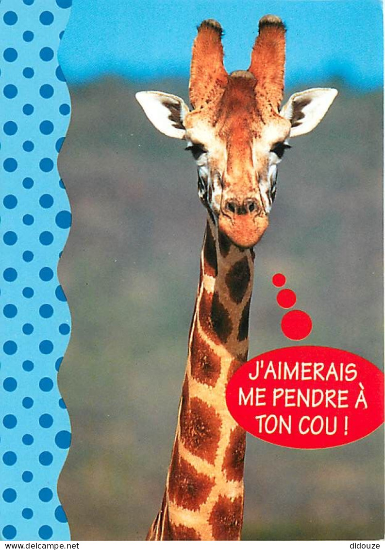 Animaux - Girafes - Carte Humoristique - CPM - Voir Scans Recto-Verso - Girafes