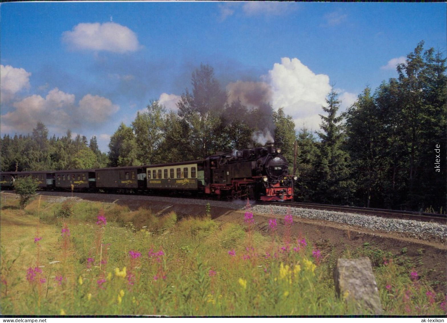 Cranzahl Sehmatal Vor Und Hinter Kretscham-Rothensehma  Bewältigen 1995 - Oberwiesenthal