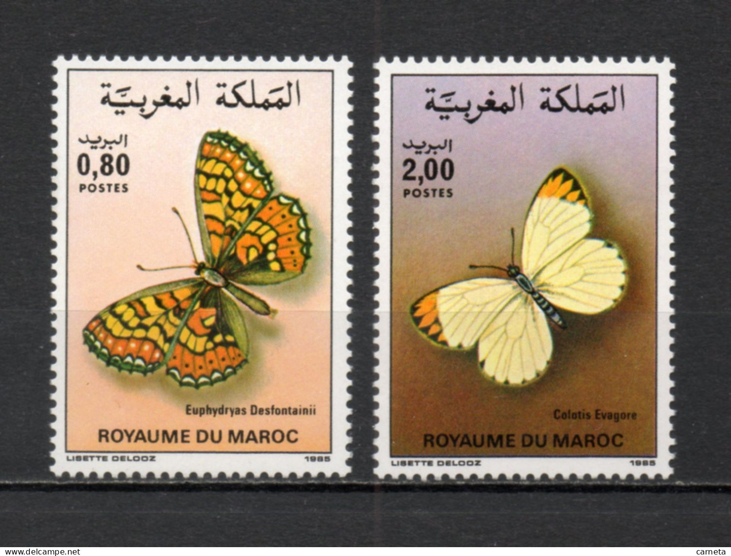 MAROC N°  996 + 997    NEUFS SANS CHARNIERE  COTE 6.00€    PAPILLON ANIMAUX FAUNE - Maroc (1956-...)