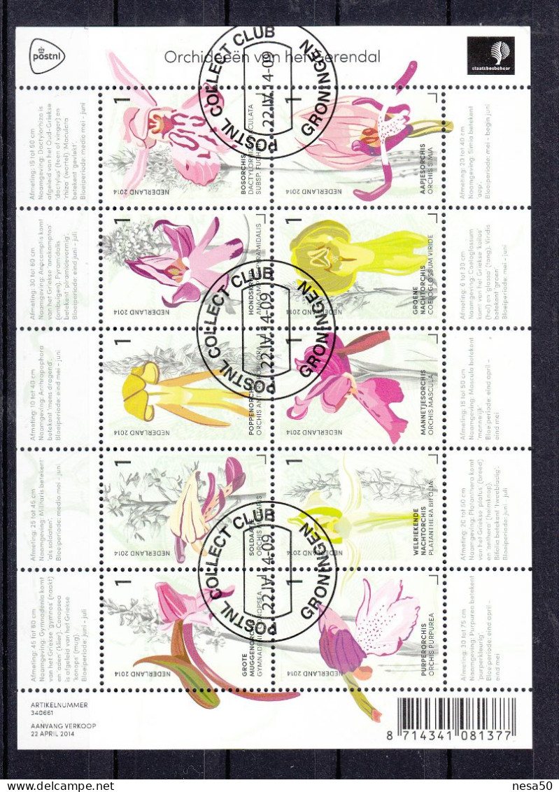 Nederland 2014 Nr 3175 - 3184 Mi Nr  3229 - 3238  Orchideen Uit Gerendal, Orchis, Compleet Gestempeld, Sheet - Gebraucht