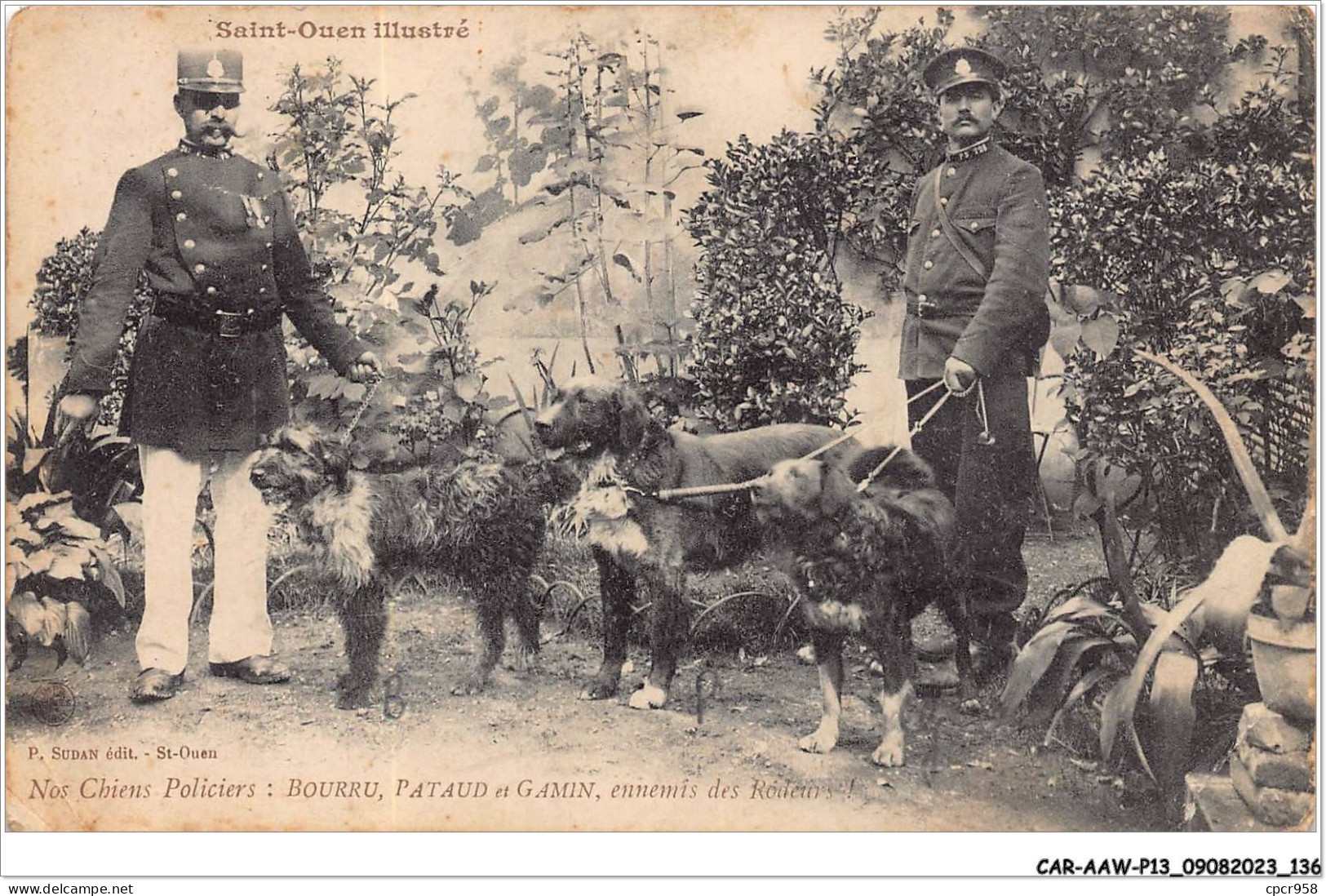 CAR-AAWP13-93-1058 - SAINT-OUEN - Nos Chiens Policiers - Saint Ouen