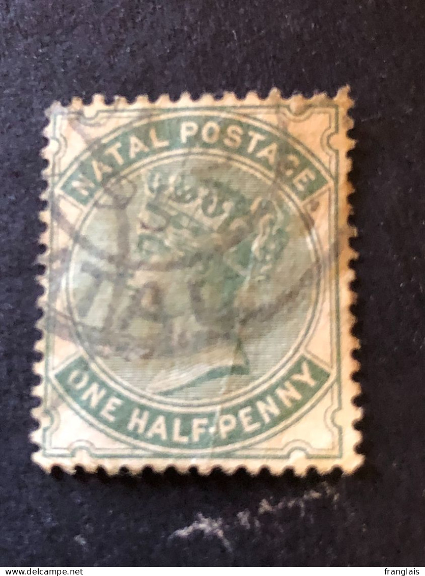 NATAL  SG 97a  ½d Dull Green  FU - Natal (1857-1909)